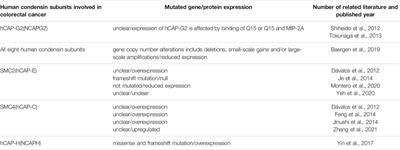 Perspective of Human Condensins Involved in Colorectal Cancer